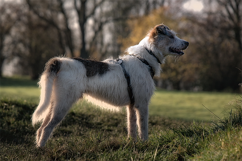 007 20141121_00220141121_Felix-11213942-Bearbeitet als Smartobjekt-1 Kopie.jpg